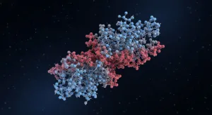 Molecular structure of GLP-1 protein, commonly associated with GLP-1 weight loss and diabetes medications