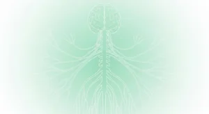 Illustrated diagram of the vagus nerve pathway connecting brain to major organs on a mint green background